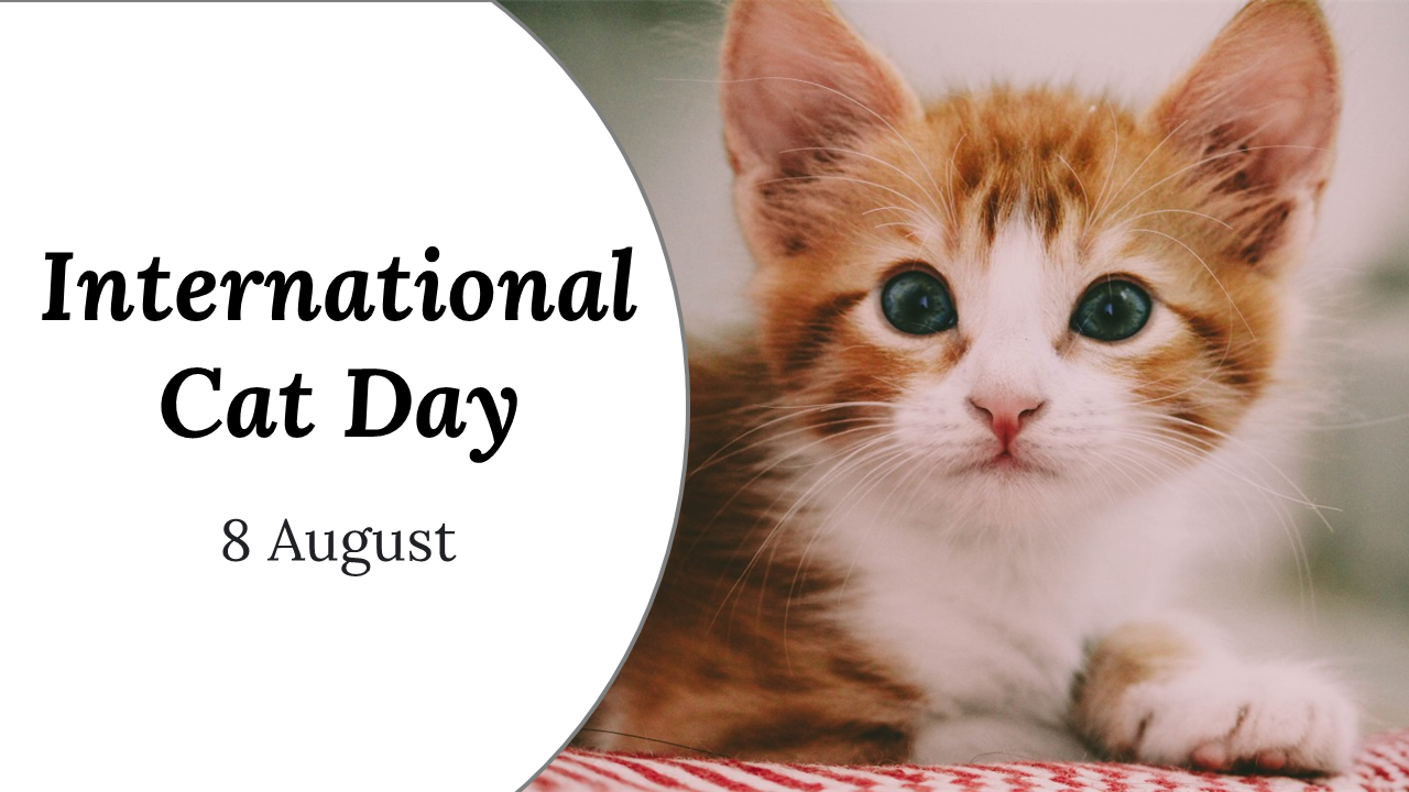 Slide deck celebrating International Cat Day, featuring cat trivia, history, and fun activities for feline enthusiasts.