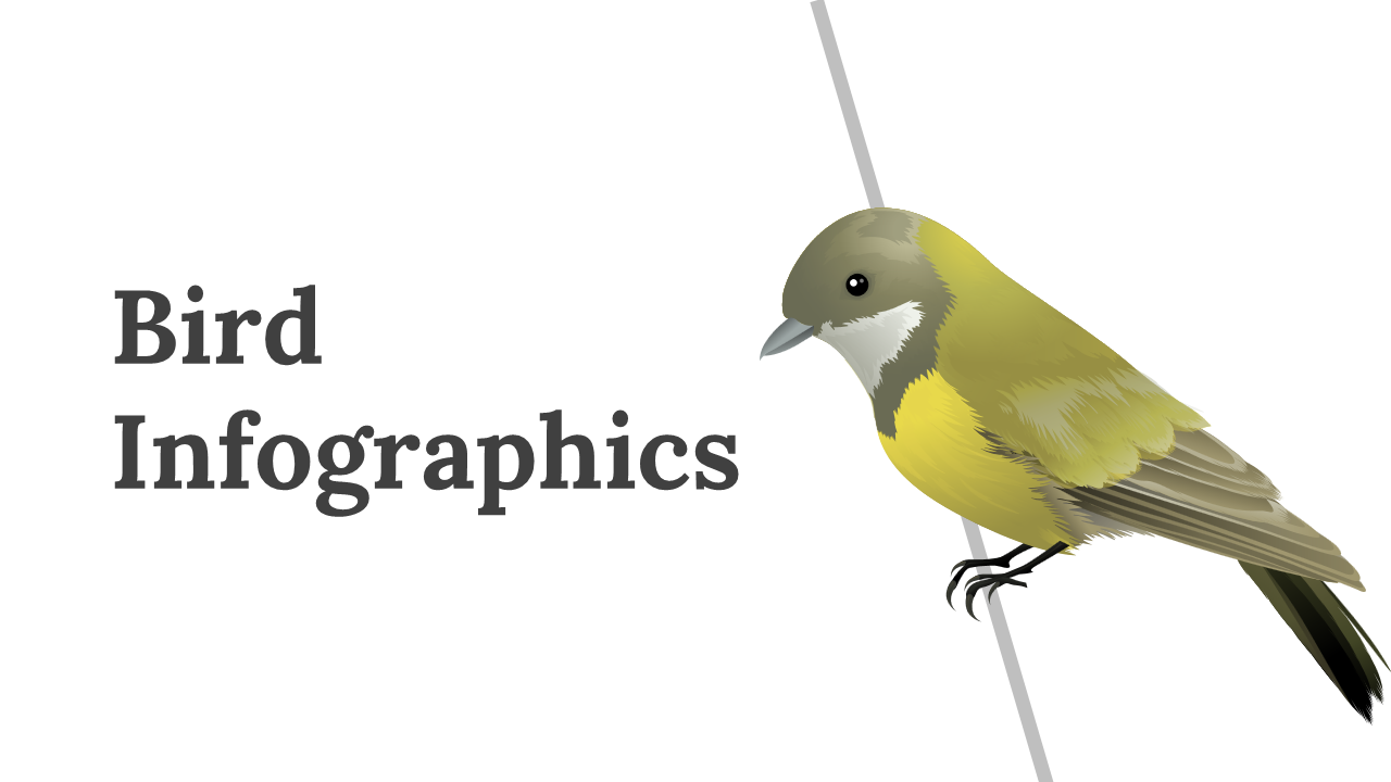 Slide deck featuring infographics with colorful illustrations, charts, maps, and timelines for bird related data.