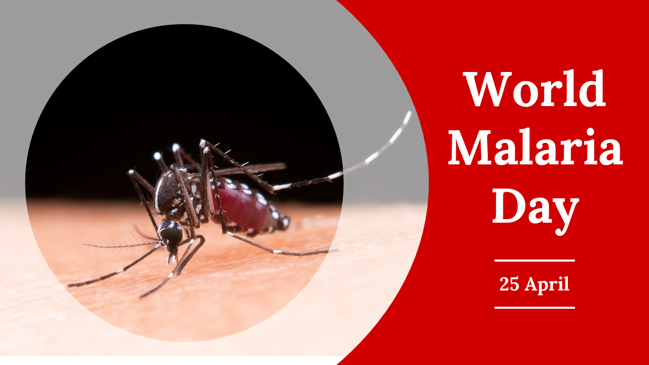 A World Malaria Day slide deck covering malaria symptoms, prevention methods, global statistics, and the history of malaria.