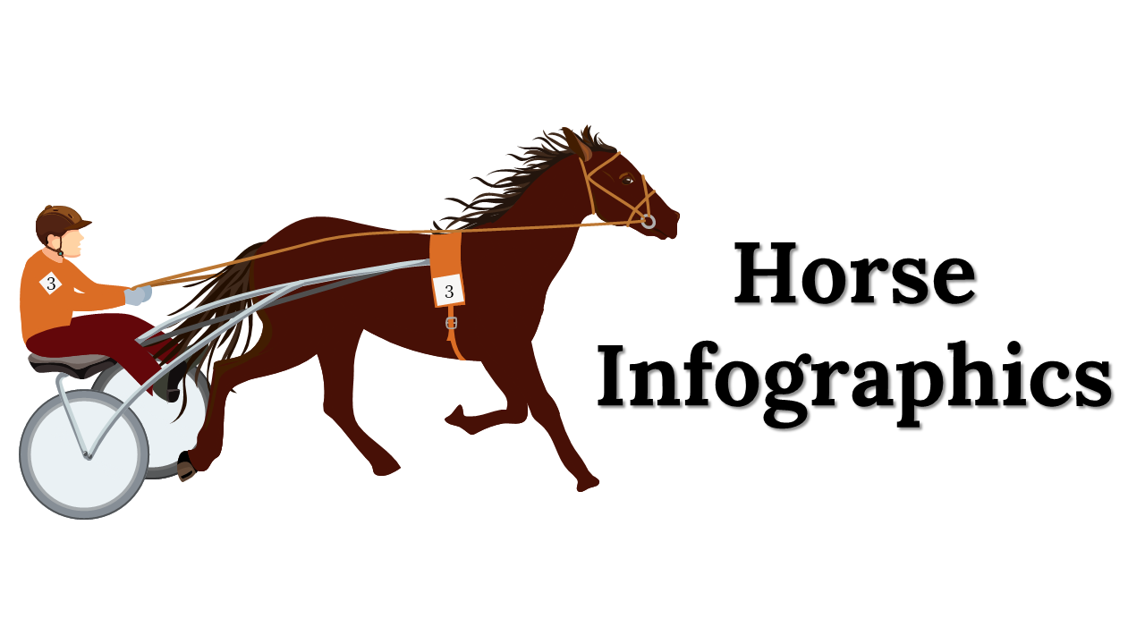 Horse themed infographic slides showing different data visualization with related topics and statistics with icons and text.