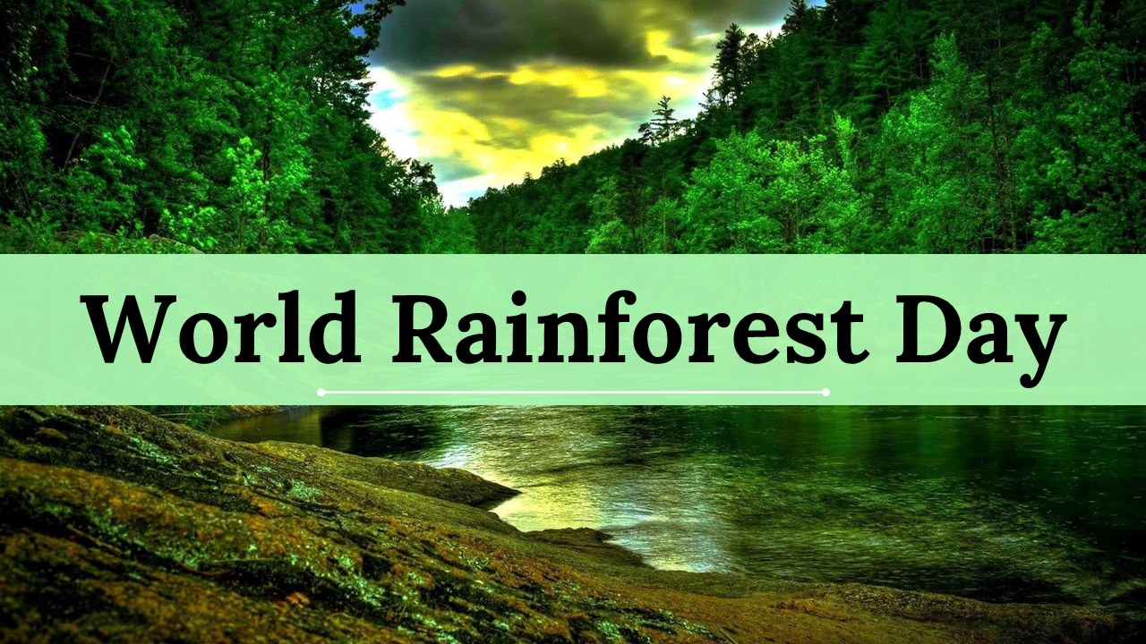 Slide deck for world rainforest day, covering history, key facts, restoration efforts, and green nature themed visuals.