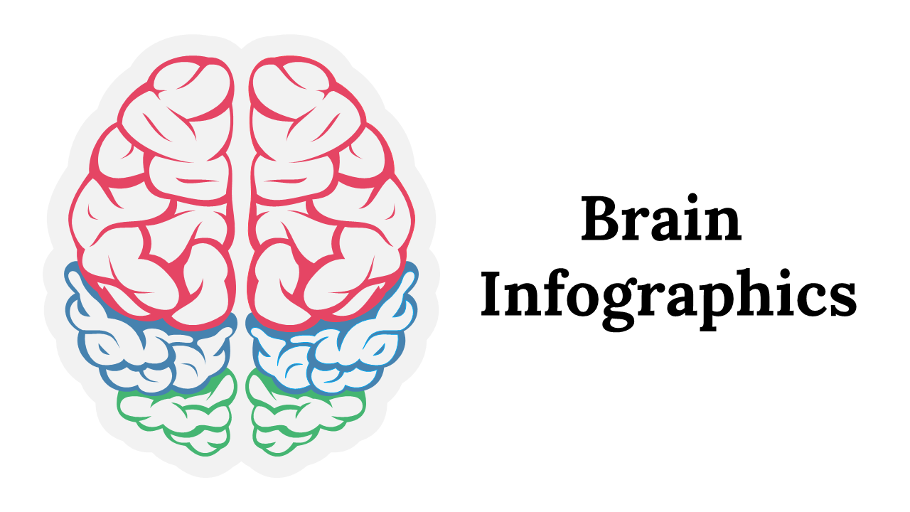 Editable Brain Infographics PPT And Google Slides Themes