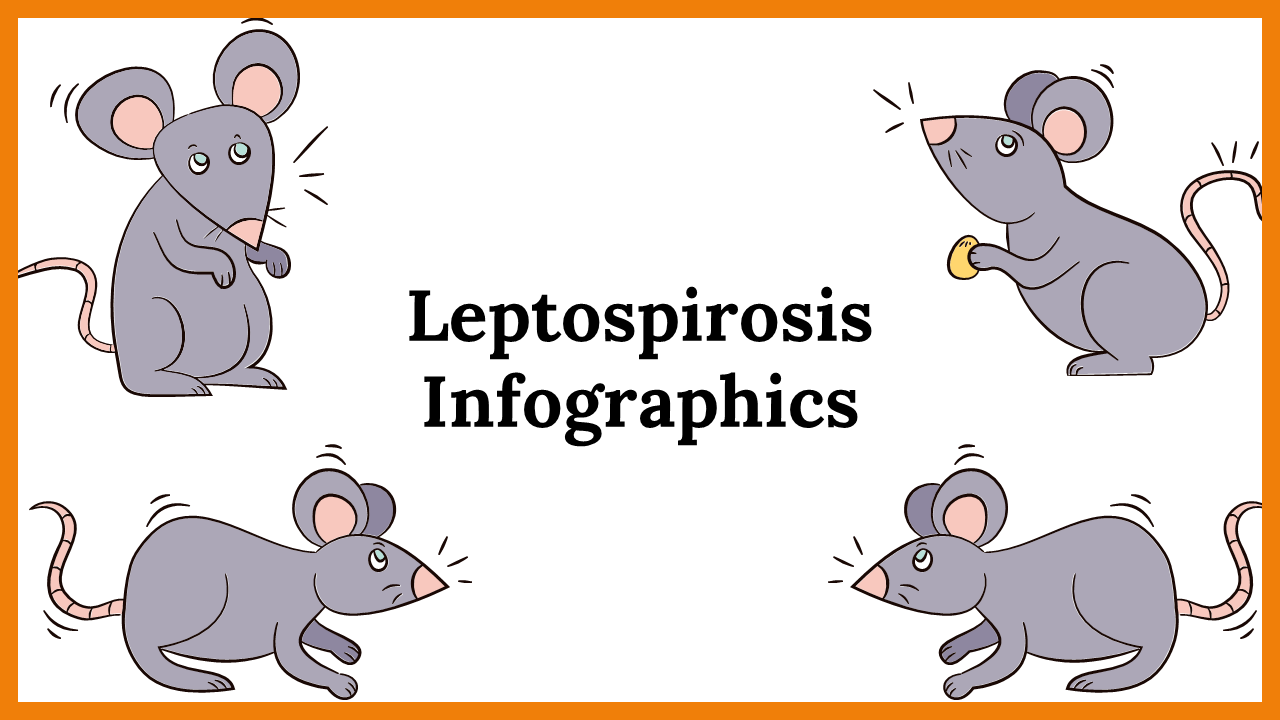 Infographic slide deck about leptospirosis, including illustrations, charts, and disease information.