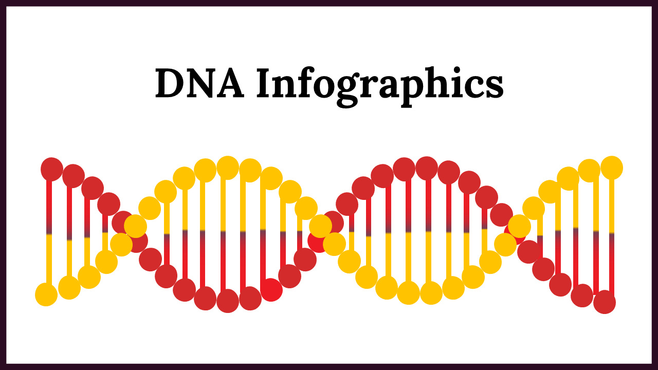 Collection of slides displaying DNA related visuals, including helix structures, chromosomes, and statistical charts.