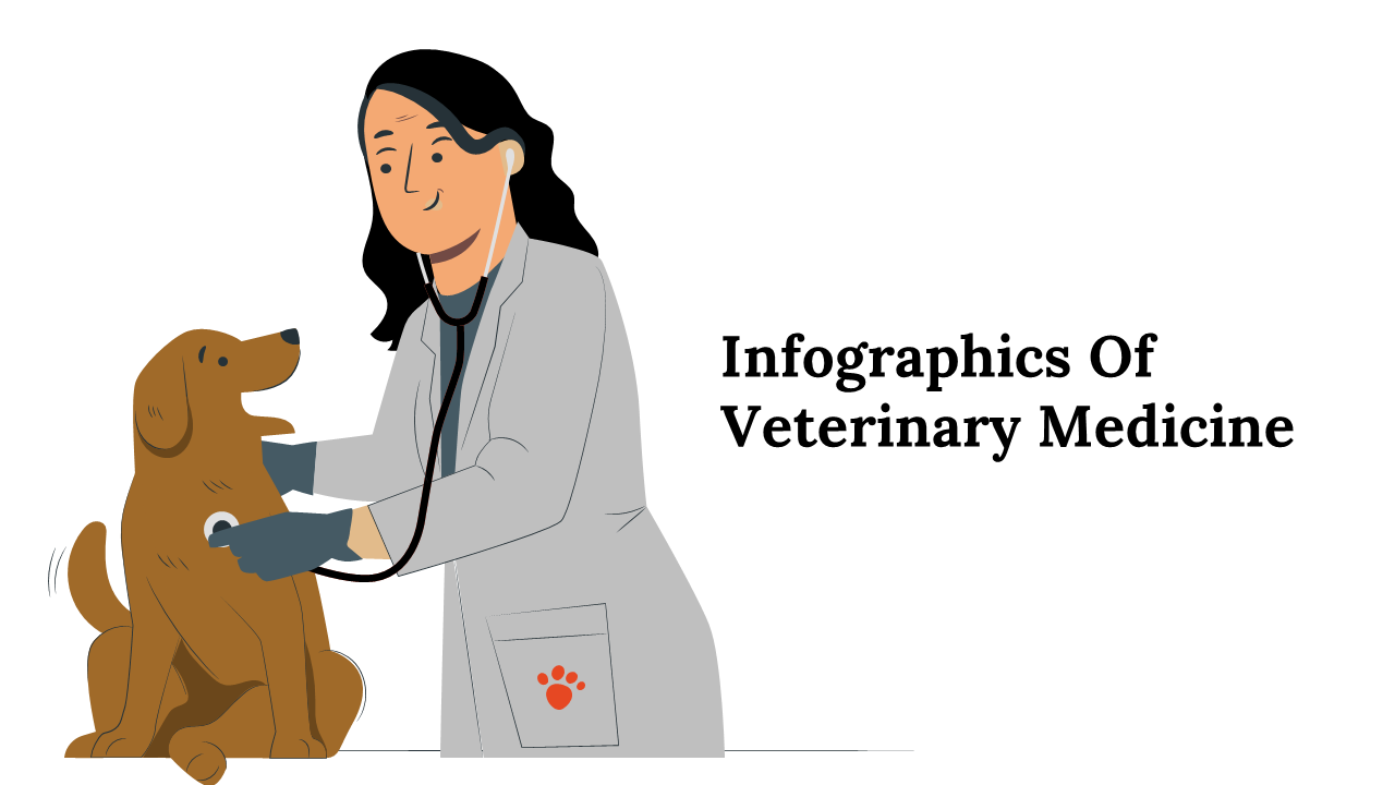 Set of slides with an illustration of a vet with a dog, various veterinary infographics in orange and gray tones.