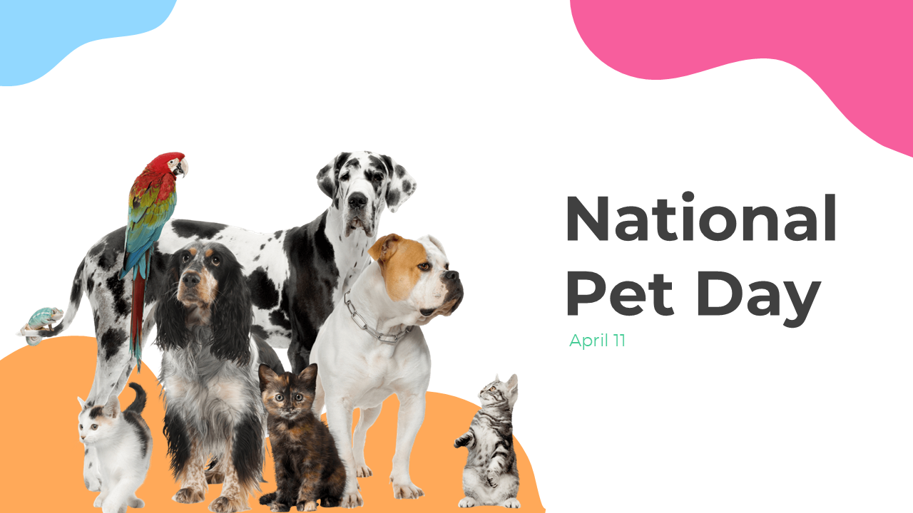 National Pet day slides featuring various pets, including dogs, cats, and a parrot, with a festive design.