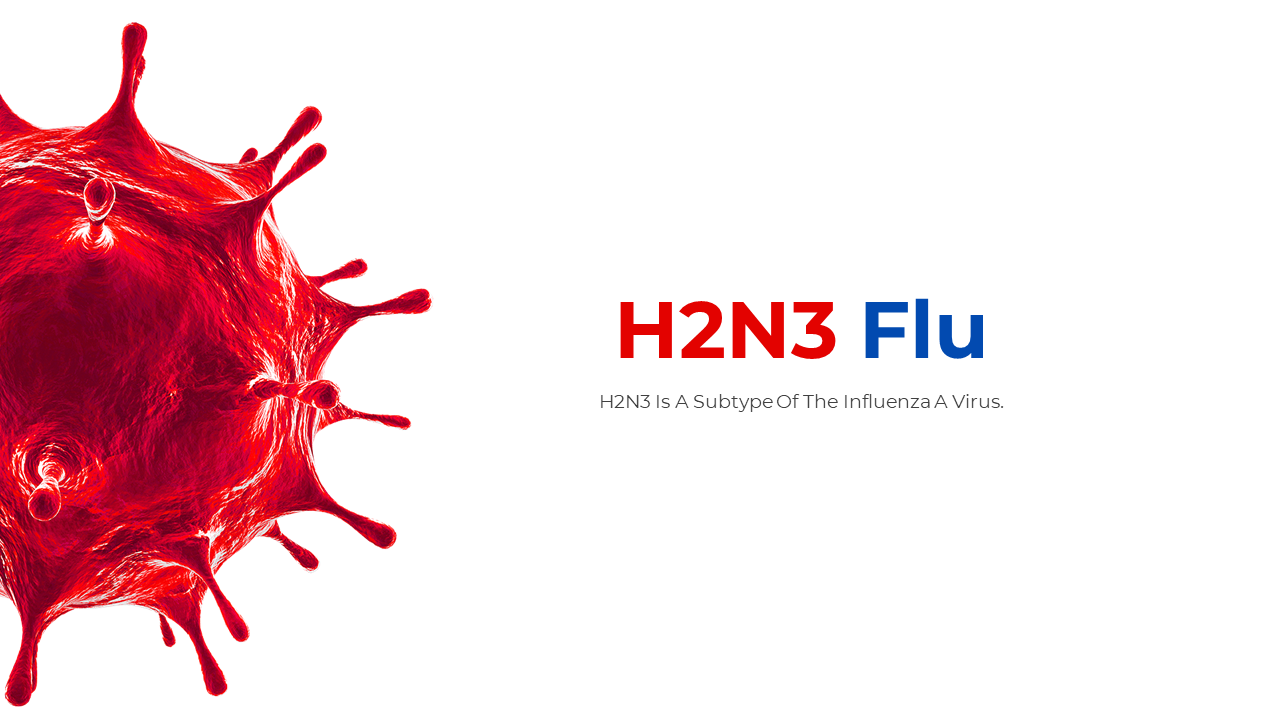 Presentation slides on H2N3 flu, detailing transmission, symptoms, diagnosis, treatment, and prevention measures.