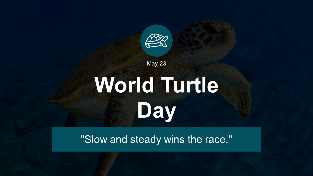 Slide deck for World Turtle Day, May 23, showcasing information on their role in ecosystems, and conservation efforts.