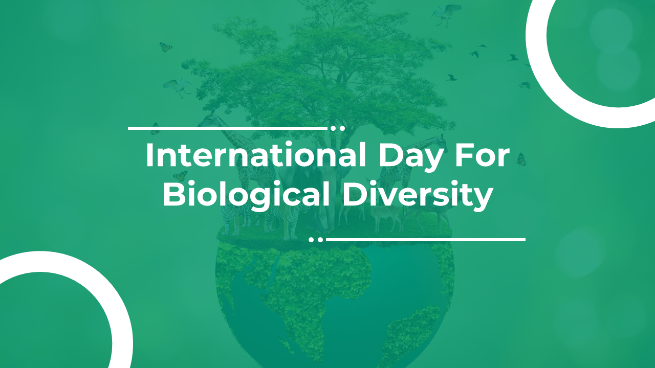 International day for biological diversity slide deck with a green background showing a tree and animals on a globe.