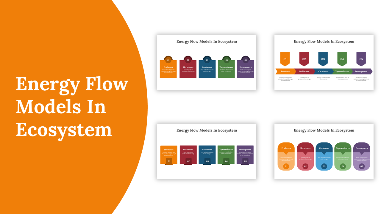 Energy Flow Models In Ecosystem PPT and Google Slides Themes