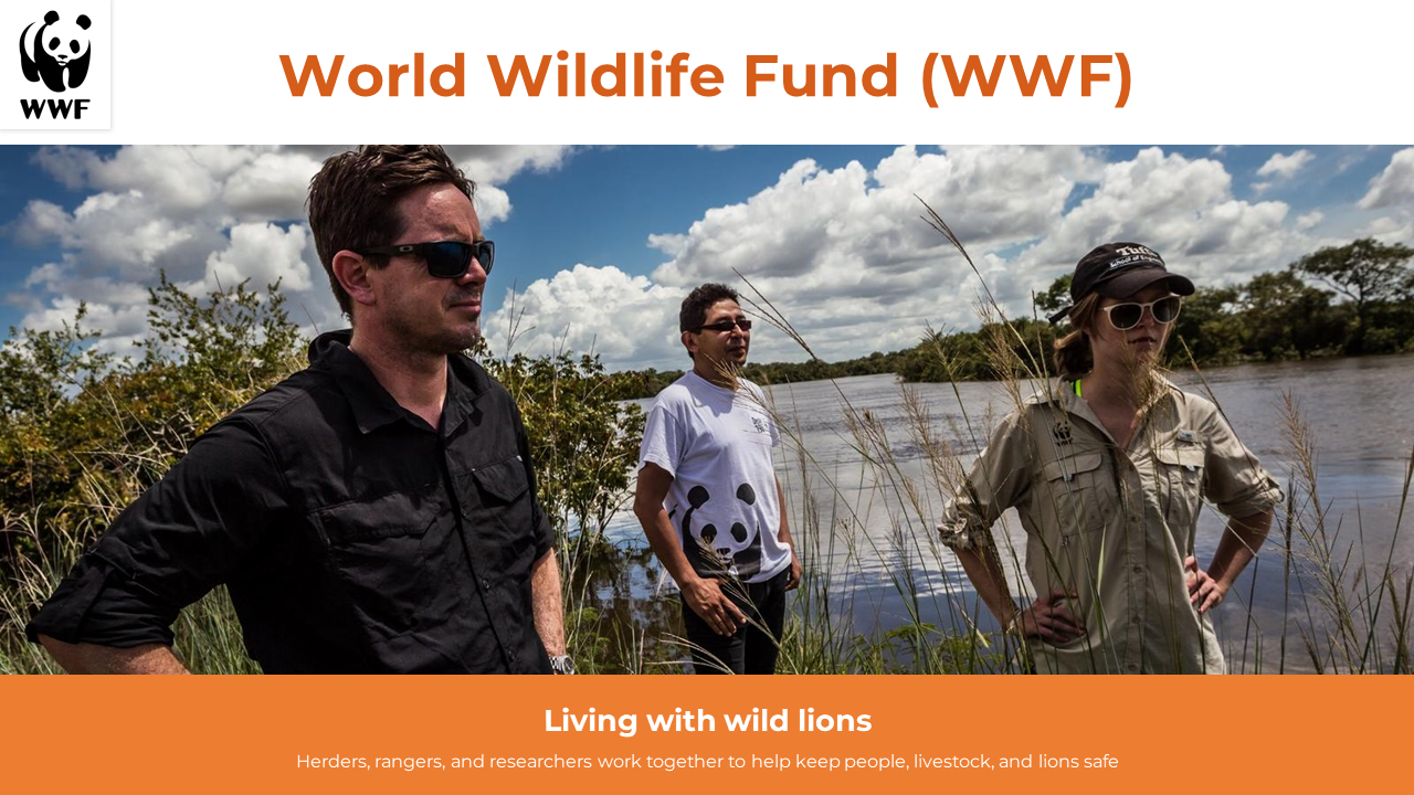 World wildlife fund slides highlighting conservation efforts, biodiversity, and sustainable practices with text descriptions.