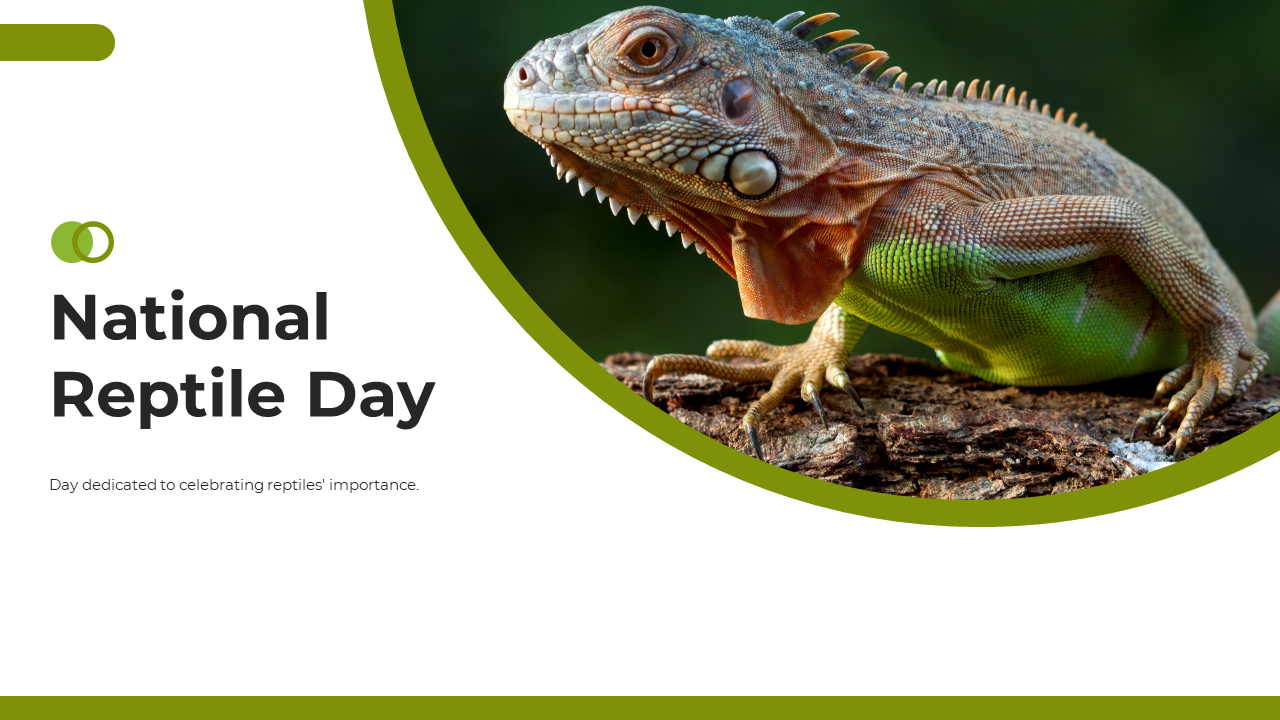 Slide deck for national reptile day, showing a iguana image on the right and the event name and celebration details.