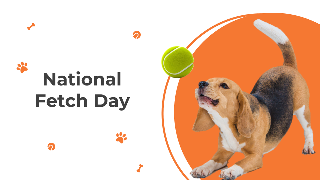 Stunning National Fetch Day PowerPoint And Google Slides