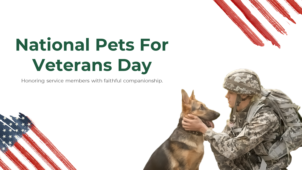 National pets for veterans day slide deck featuring a soldier and a German Shepherd, with red and blue flag-themed accents.