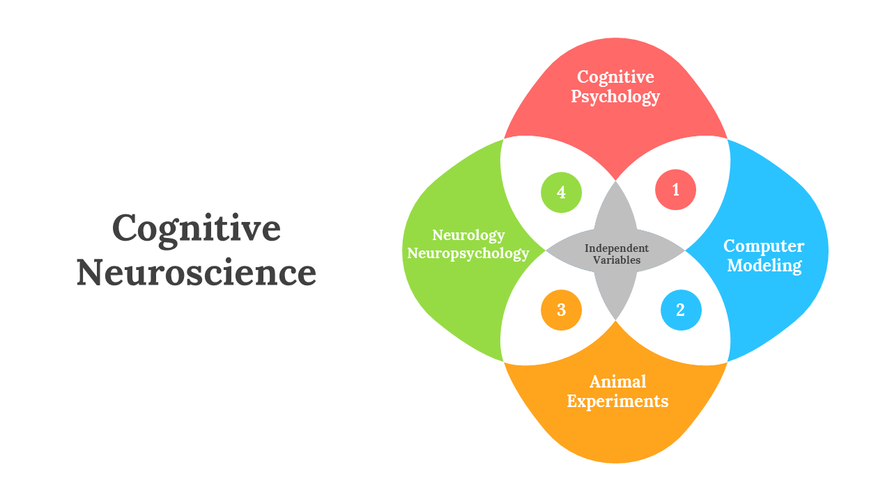 Slide deck of cognitive neuroscience Venn diagram with independent variables at the center and four overlapping disciplines.