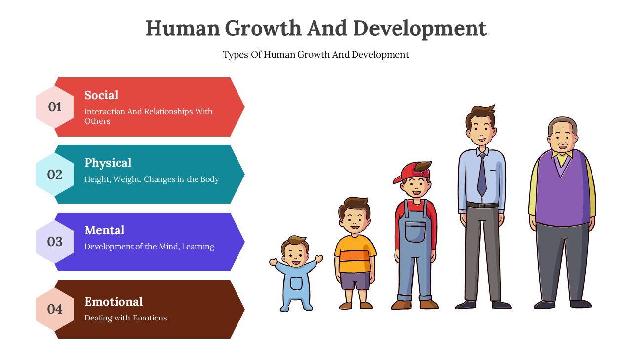 Slide deck illustrating human growth, with hexagonal sections, representing different aspects of development.