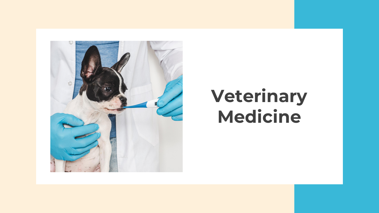 Best Veterinary Medicine PPT And Google Slides Templates