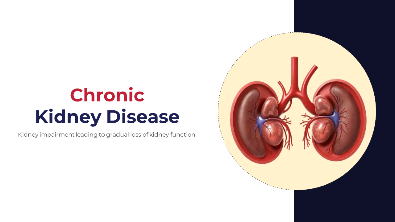 Slide deck on chronic kidney disease, with visuals for symptoms, risk factors, functions, and treatment insights.