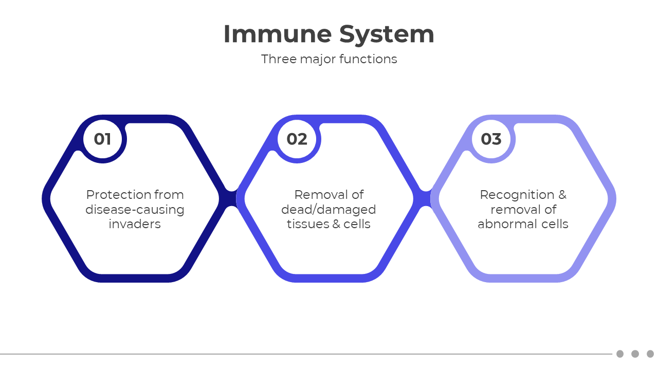 Best Immune System Presentation And Google Slides Templates