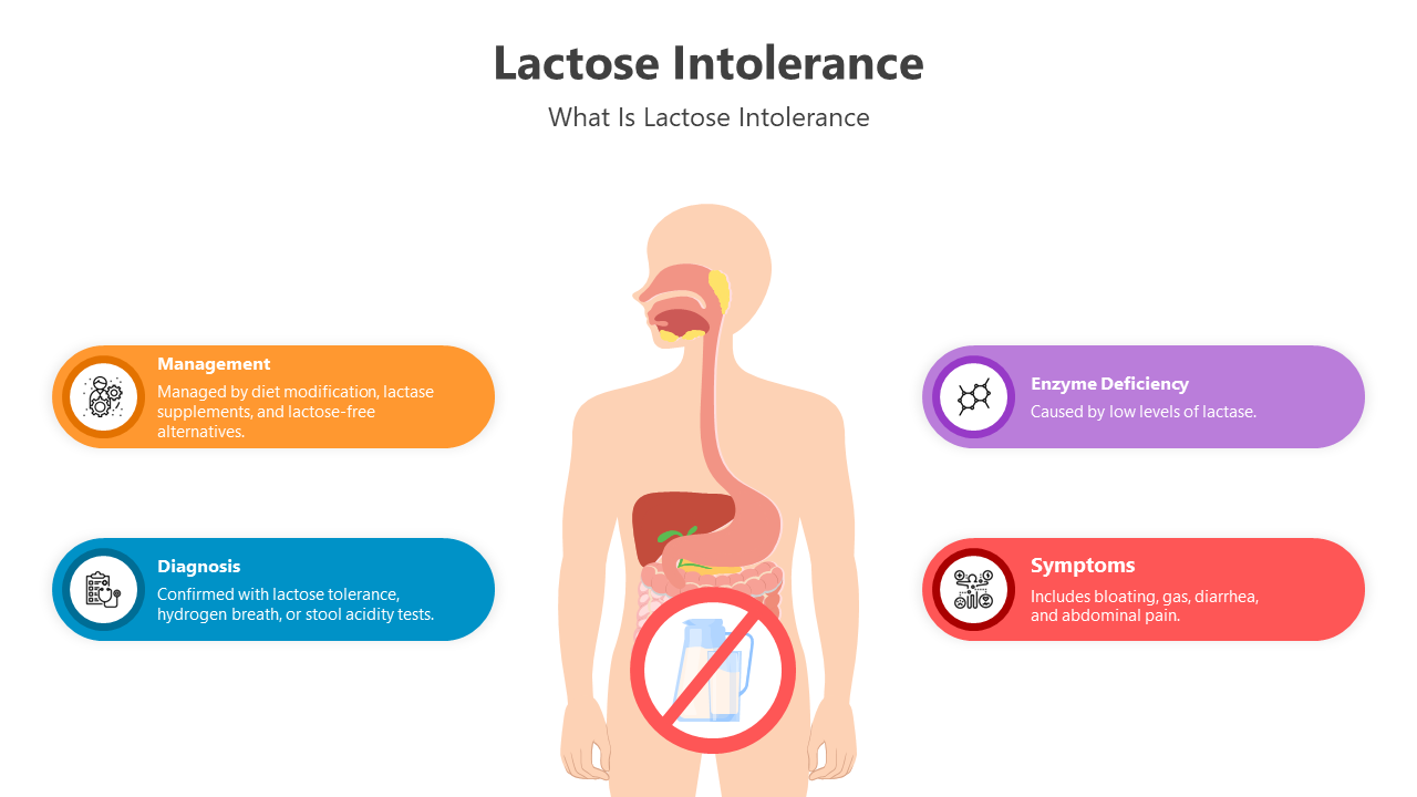 Best Lactose Intolerance Presentation And Google Slides