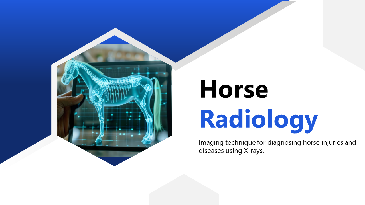 Horse skeletal X-ray slide deck images on screen, highlighting radiology techniques for diagnostics.