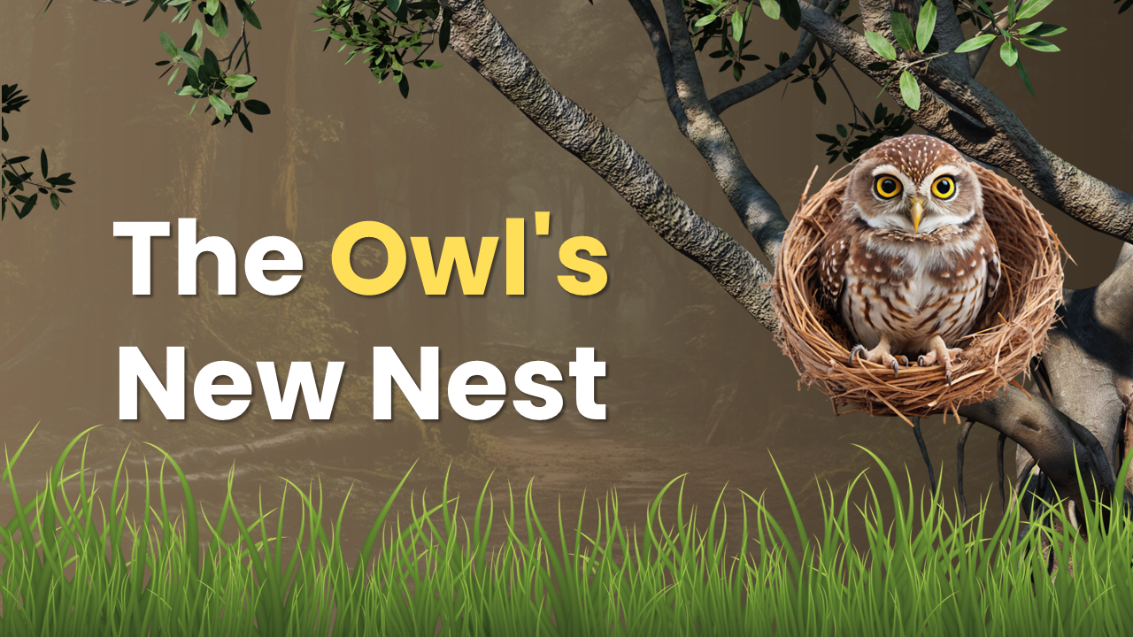 Creative The Owls New Nest PowerPoint And Google Slides