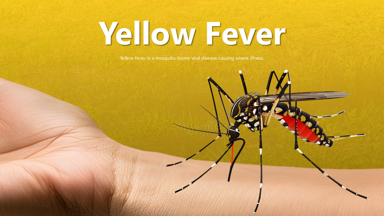 Effective Yellow Fever Presentation And Google Slides Themes