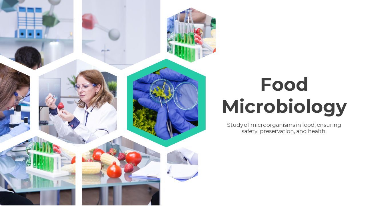 Informative Food Microbiology PPT And Google Slides