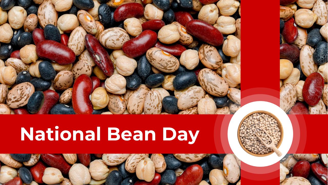 National Bean Day presentation with vibrant bean varieties and celebration ideas.