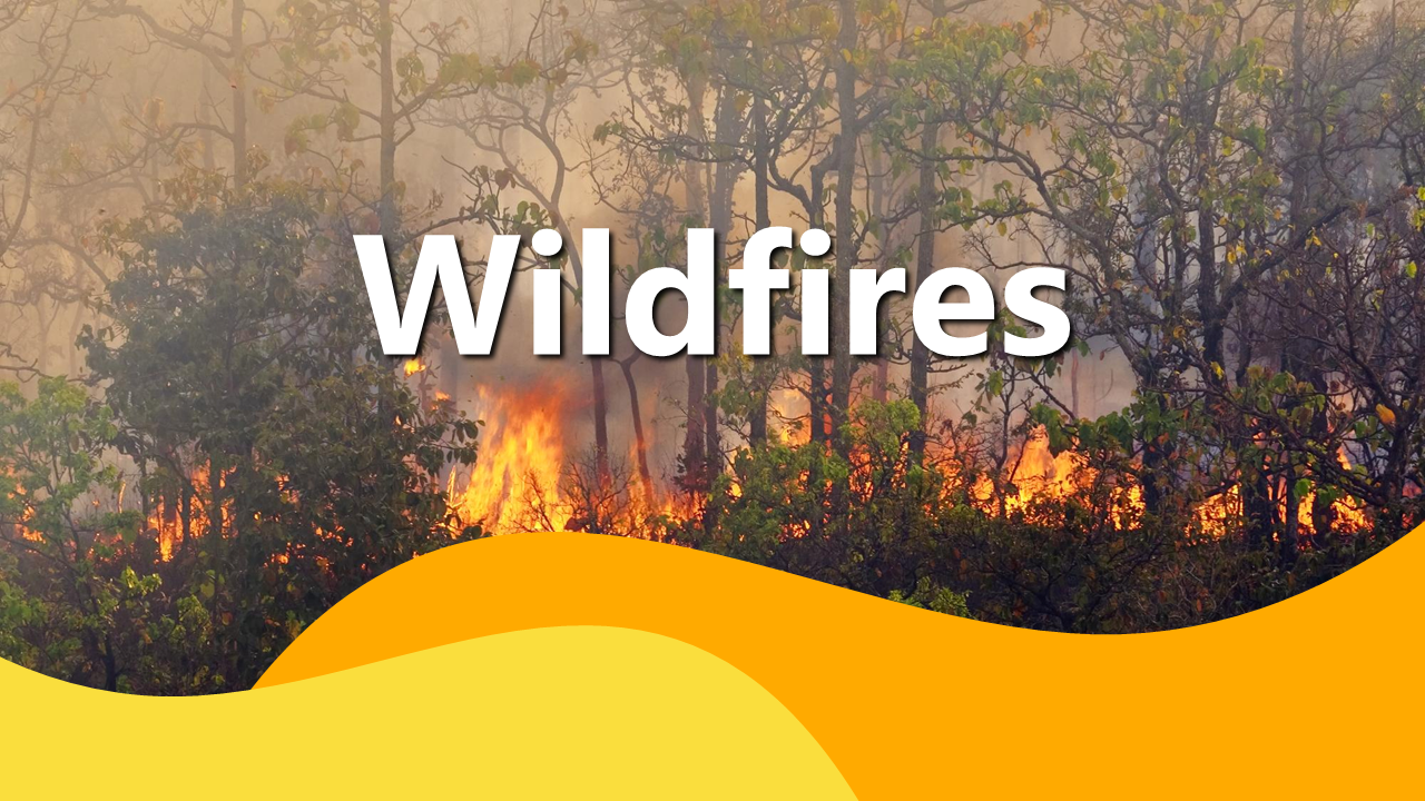 Wildfires slides with yellow-orange gradients, text holders, images of flames, types, causes, impacts, and global hotspots.