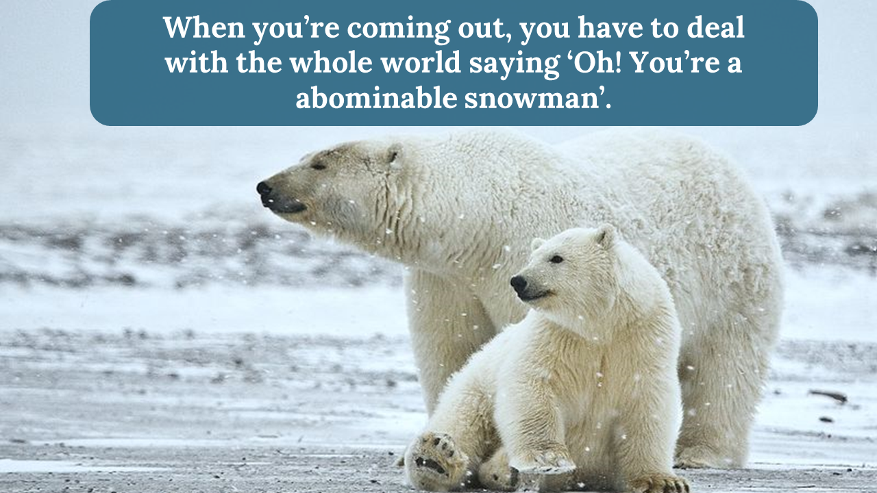 Buy Now Abominable Snowman Template For Presentation