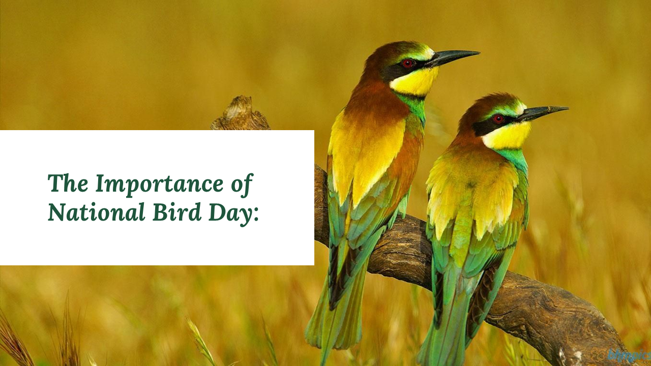 Download National Bird Day PowerPoint Template Design