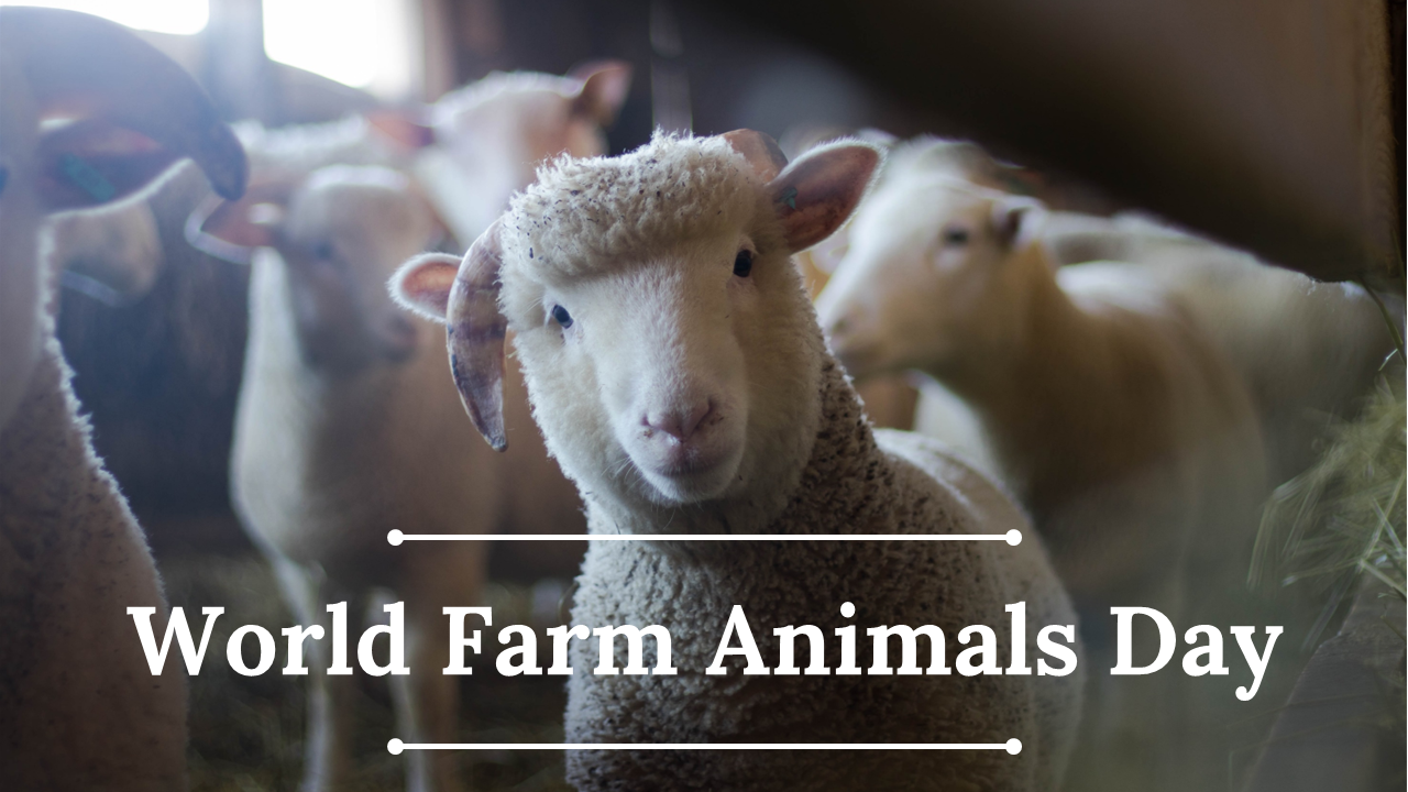 Get Now! World Farm Animals Day PowerPoint Presentation