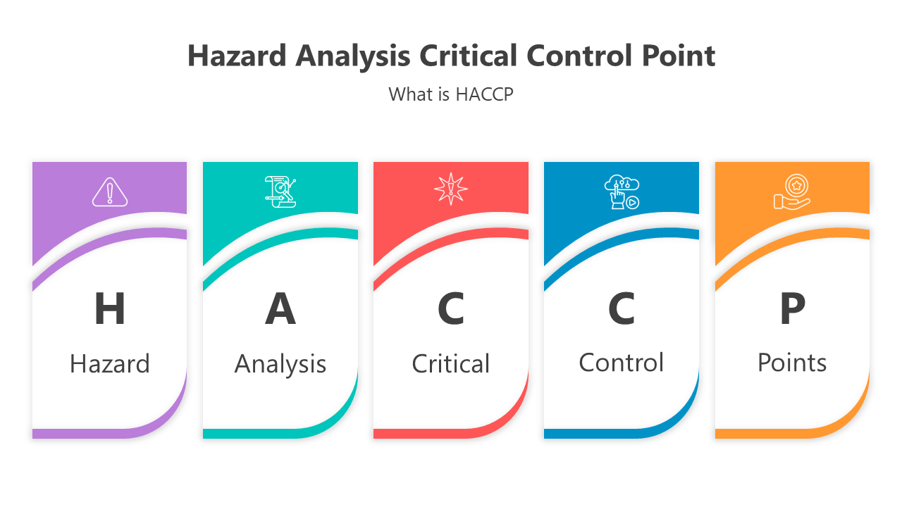 Innovative HACCP PowerPoint And Google Slides Templates