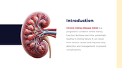 00833-chronic-kidney-disease-02