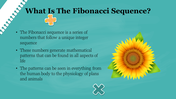 100021-fibonacci-day-21