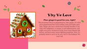 100029-gingerbread-house-day-09