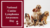 100039-national-canine-lymphoma-awareness-day-01