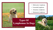 100039-national-canine-lymphoma-awareness-day-12