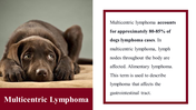 100039-national-canine-lymphoma-awareness-day-13