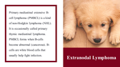 100039-national-canine-lymphoma-awareness-day-16