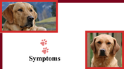 100039-national-canine-lymphoma-awareness-day-19