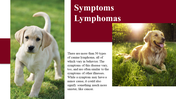 100039-national-canine-lymphoma-awareness-day-20