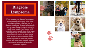 100039-national-canine-lymphoma-awareness-day-22