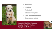 100039-national-canine-lymphoma-awareness-day-24