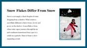 100048-winter-snowflakes-05