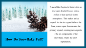 100048-winter-snowflakes-26