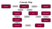 100079-concept-map-15