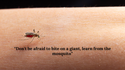 100093-world-mosquito-day-10