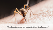 100093-world-mosquito-day-30